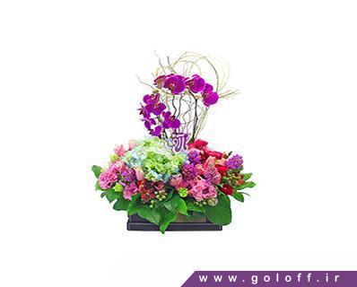 خرید گل آنلاین - گل خواستگاری پیوند ما - Proposing Flower | گل آف